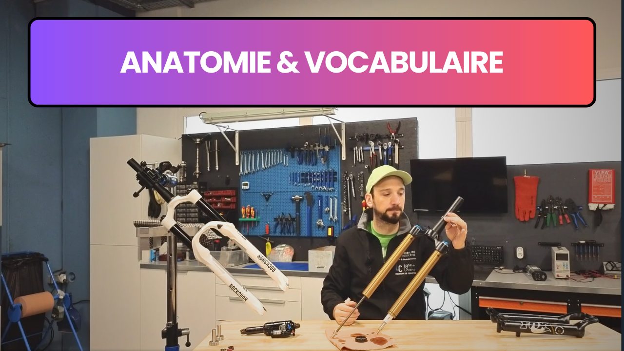 Anatomie et vocabulaire des suspensions