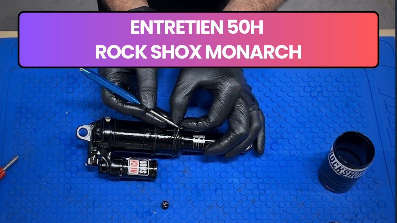 Entretien 50h amortisseur Monarch